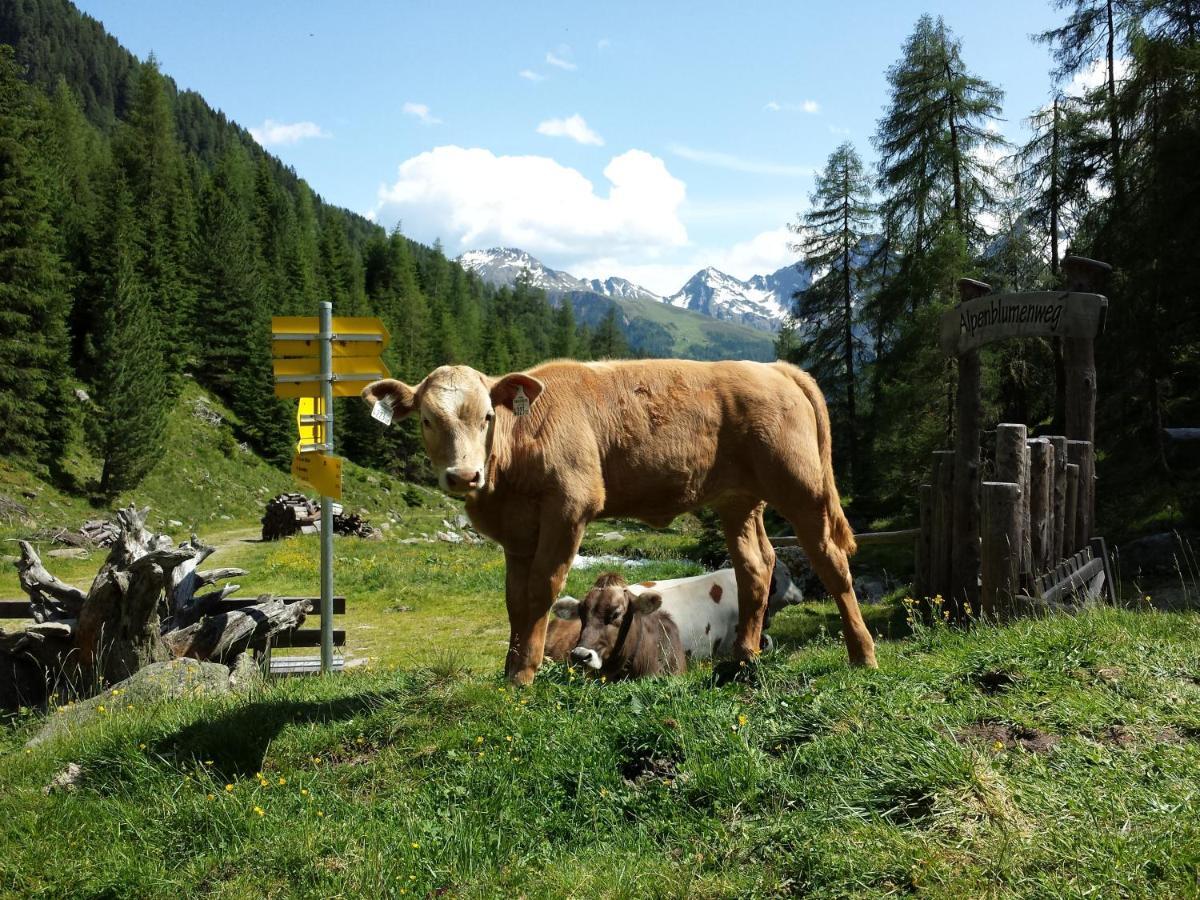 OLYMPIA Privathotel Garni St. Jakob in Defereggen Exterior foto